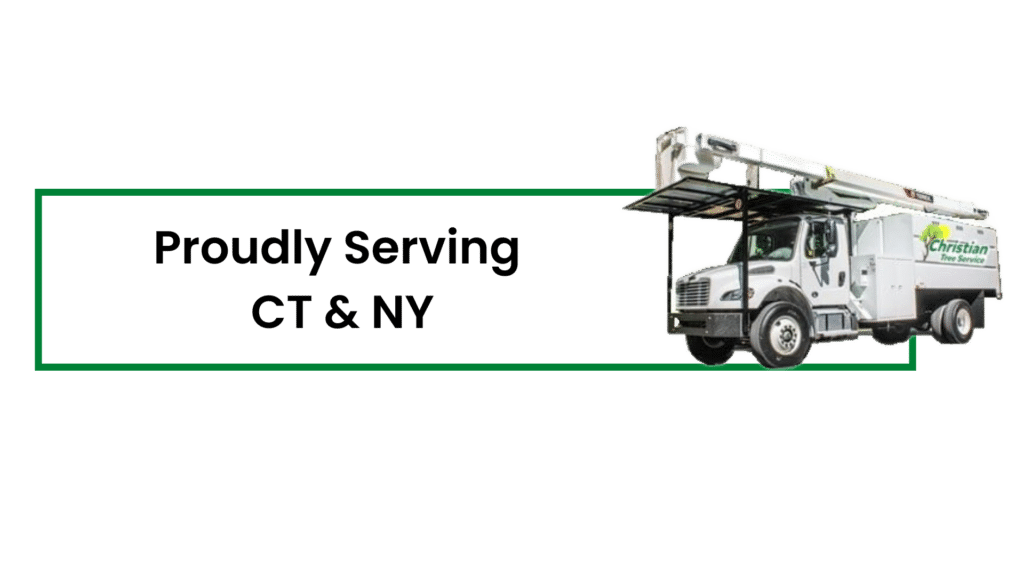 Christian Tree Service Connecticut and New York