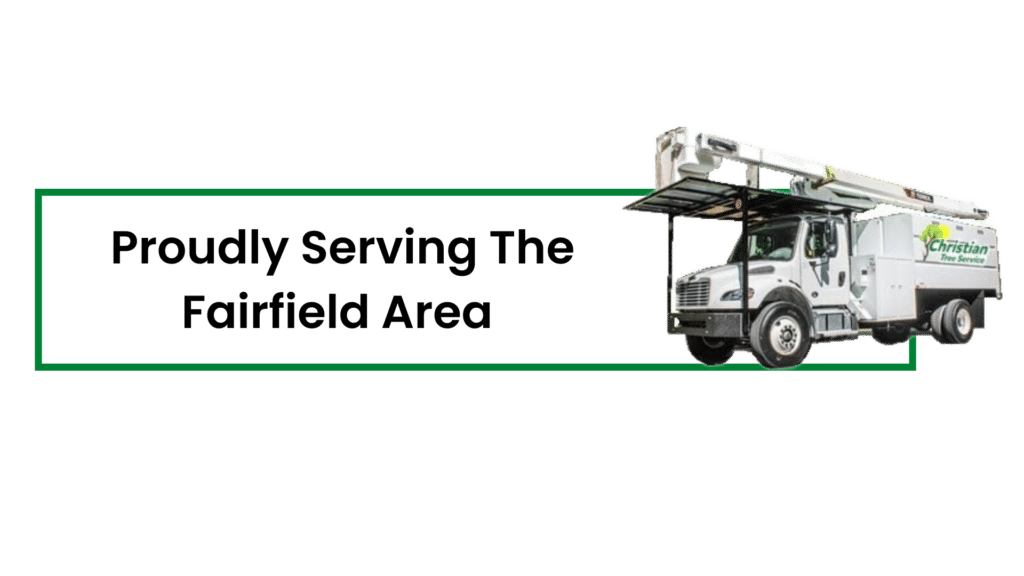 Best tree service in Fairfield CT