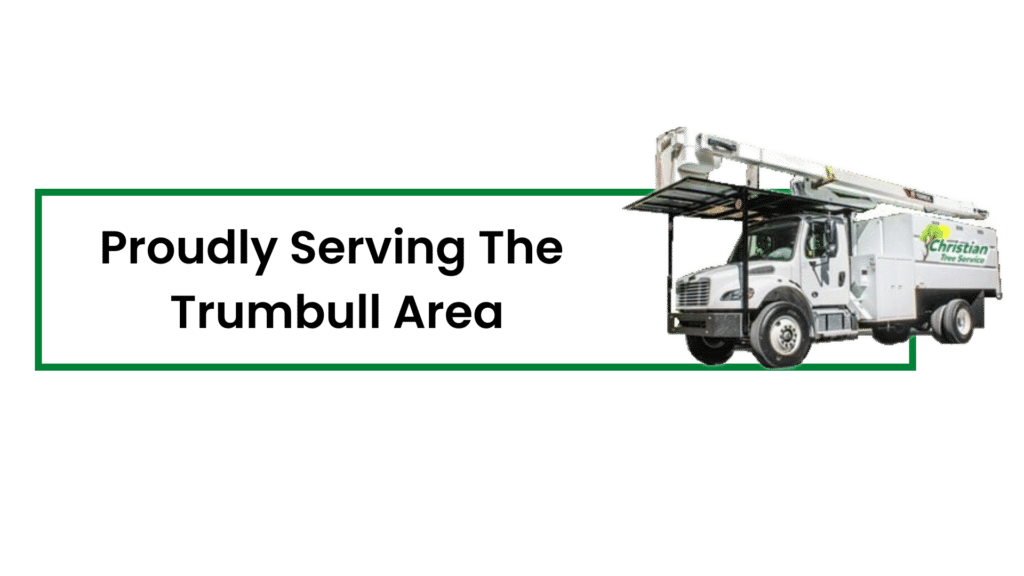 Best Tree service in Trumbull Connecticut