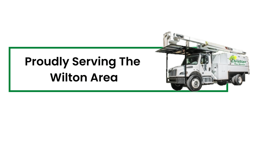 Wilton tree service
