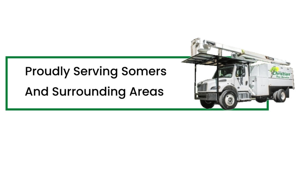 tree service proudly serving somers new york
