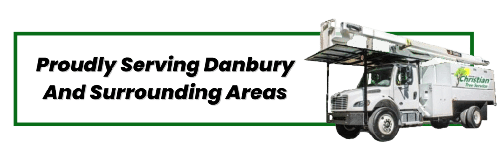 Tree Service In Danbury, Proudly Serving Danbury, Connecticut